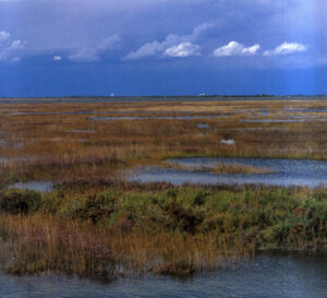 Lagunadaterra